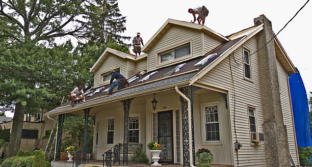 Best Roof Gutter Cleaning  in Lawrence, IN